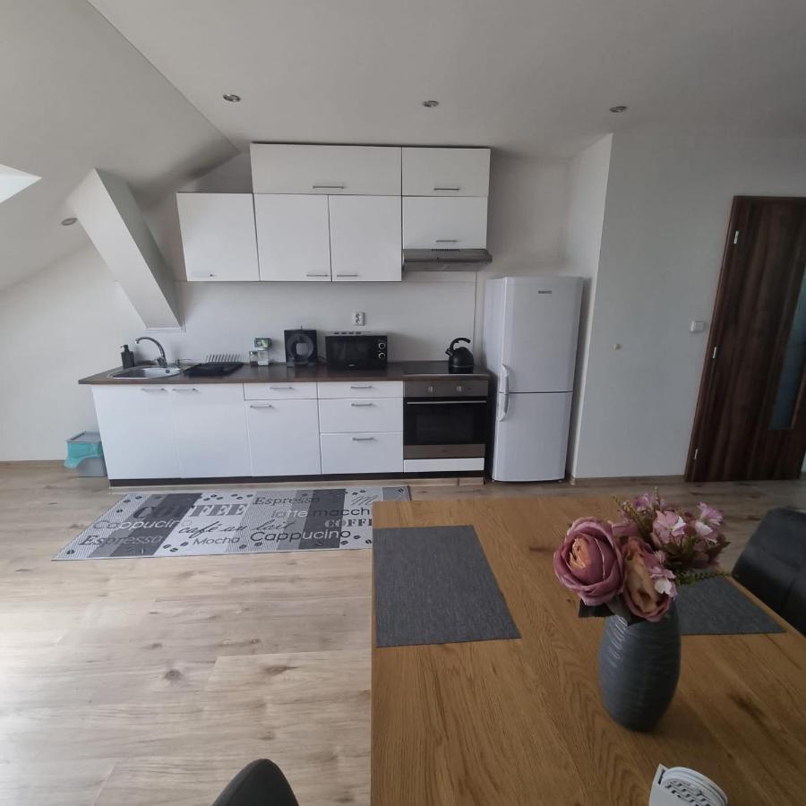 Cerny Tulipan - Apartman 5 Plzen Bagian luar foto