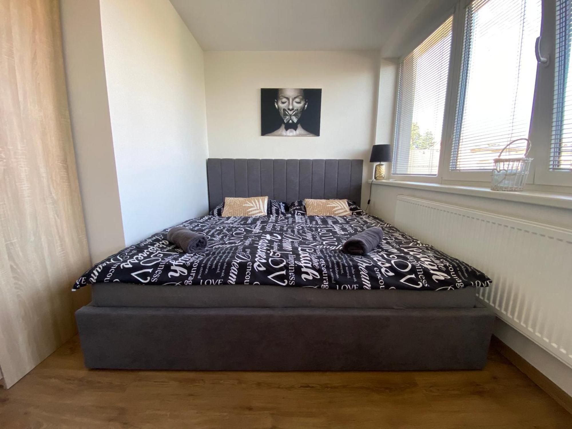 Cerny Tulipan - Apartman 5 Plzen Bagian luar foto
